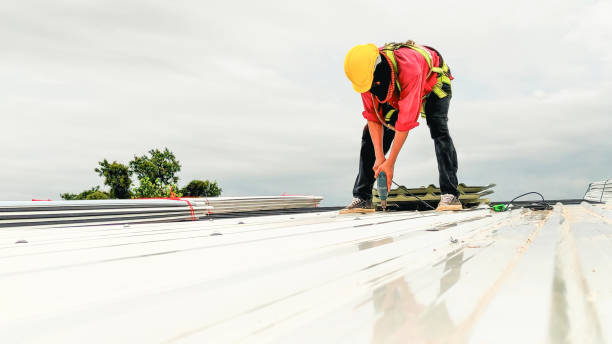 Best Skylight Installation and Repair  in Port Washington, NY