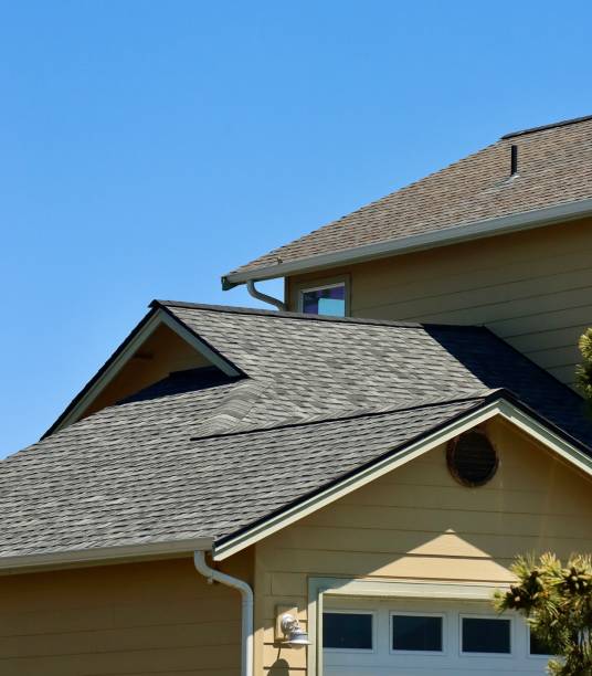Best Roof Moss and Algae Removal  in Port Washington, NY